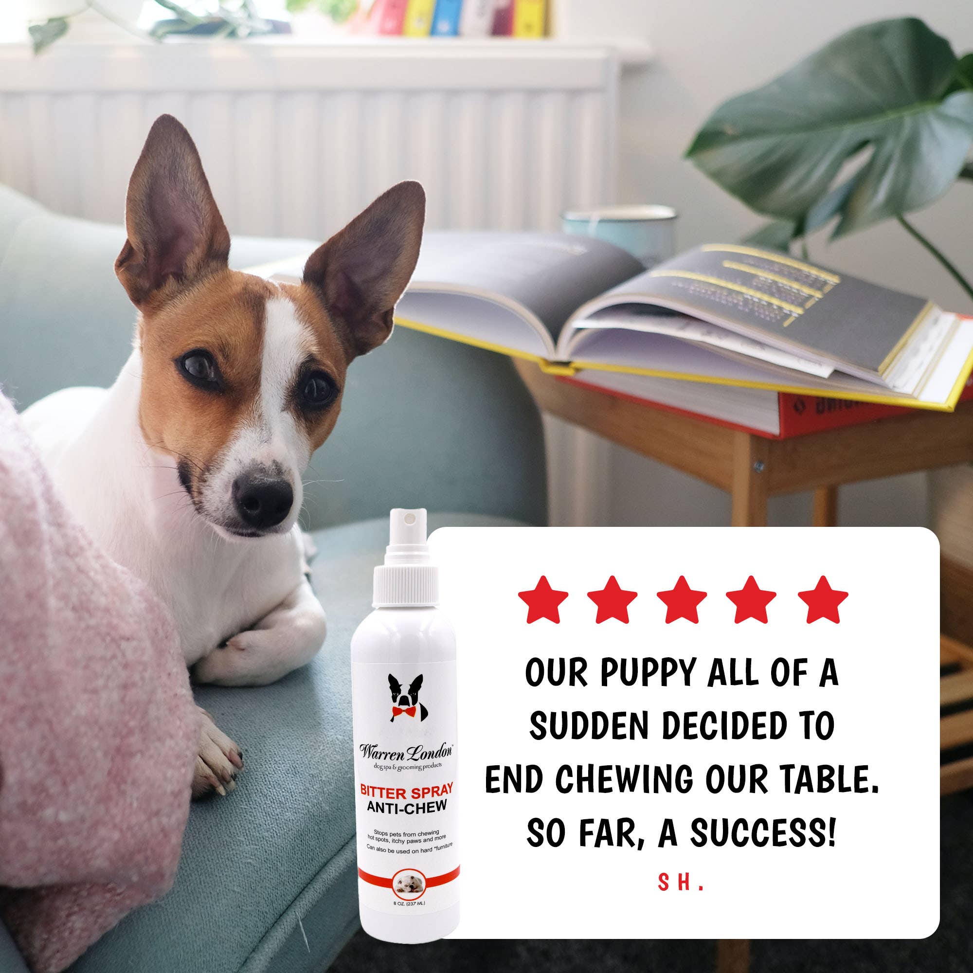 Bitter Spray: Anti-Chew - 8 oz